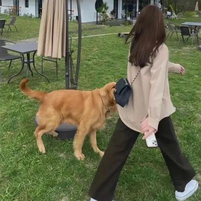 命运变奏曲